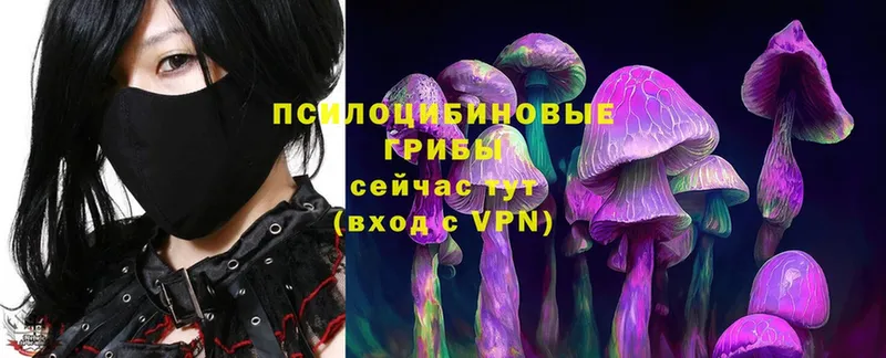 Псилоцибиновые грибы Magic Shrooms  маркетплейс наркотические препараты  Верхний Уфалей 